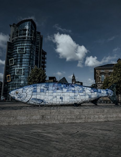 The Salmon of Knowledge