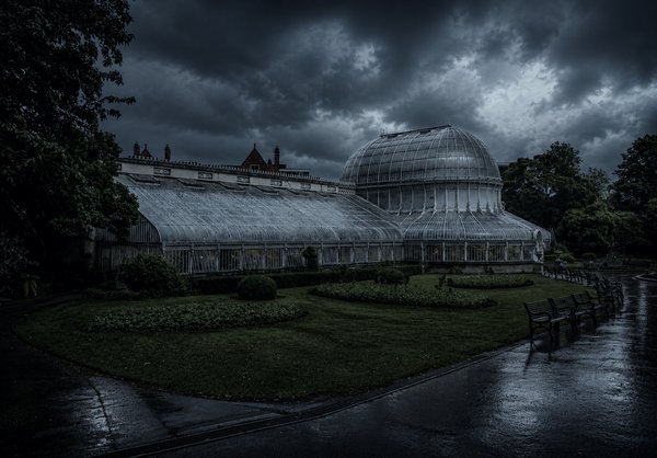 Palm House Before the Rain